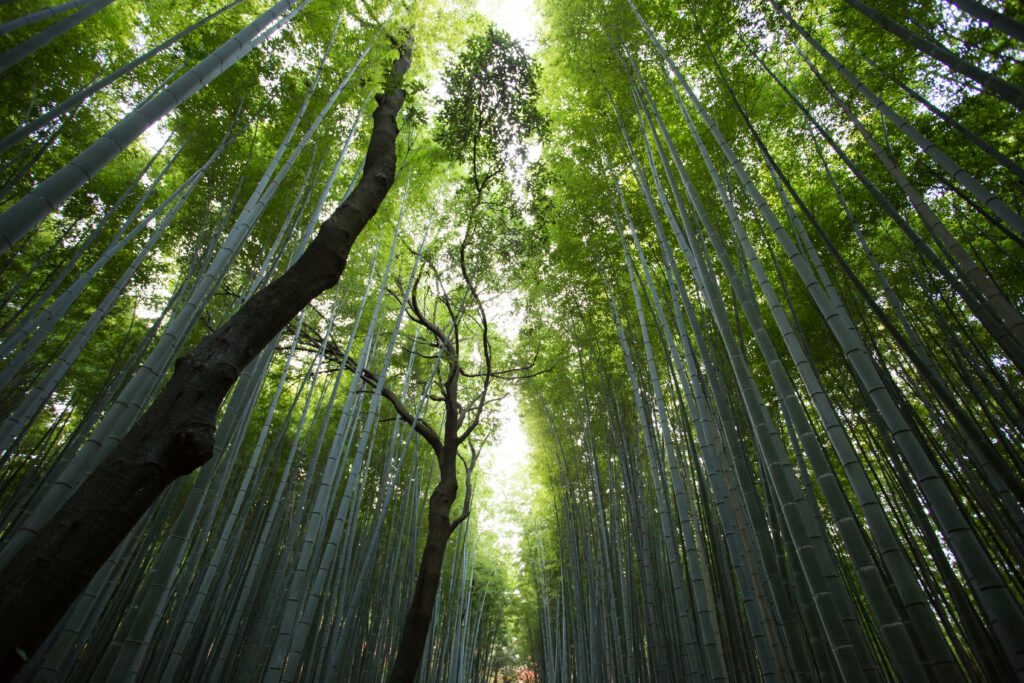 Natur